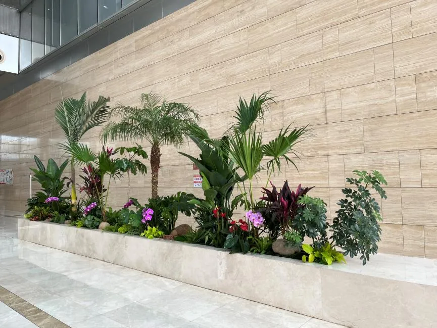 宁波杭州湾花木租摆方案